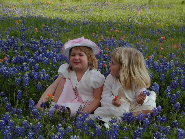 camera/2002/04(April)/04_09_Bluebonnets/640x480_p4090019.jpg