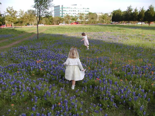 camera/2002/04(April)/04_09_Bluebonnets/640x480_p4090026.jpg