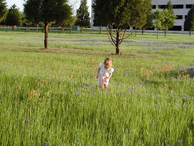 camera/2002/04(April)/04_09_Bluebonnets/640x480_p4090030.jpg