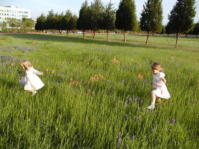 camera/2002/04(April)/04_09_Bluebonnets/640x480_p4090031.jpg