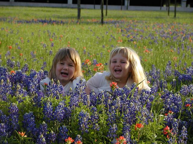 camera/2002/04(April)/04_09_Bluebonnets/640x480_p4090039.jpg