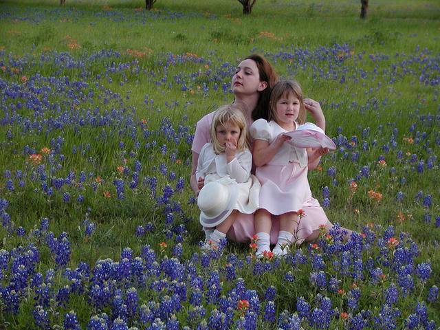 camera/2002/04(April)/04_09_Bluebonnets/640x480_p4090045.jpg