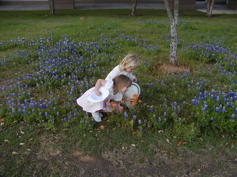 camera/2002/04(April)/04_09_Bluebonnets/800x600_p4090003.jpg