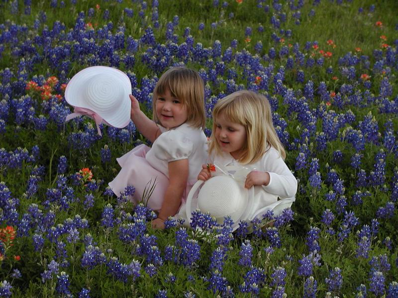 camera/2002/04(April)/04_09_Bluebonnets/800x600_p4090011.jpg
