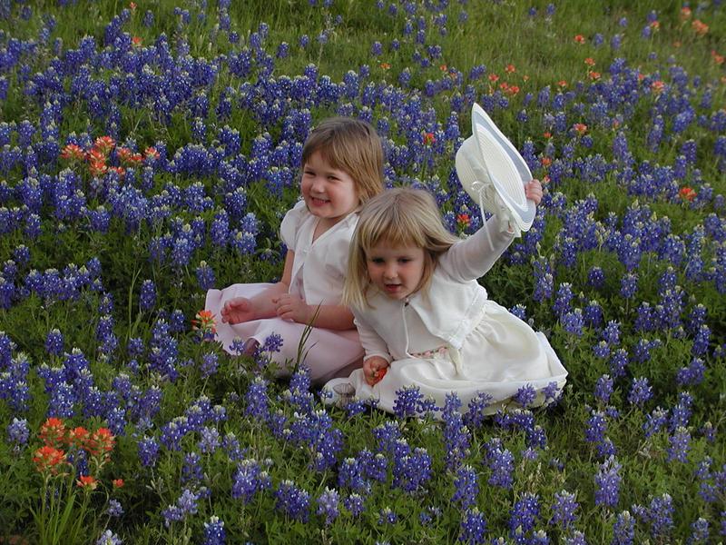camera/2002/04(April)/04_09_Bluebonnets/800x600_p4090013.jpg