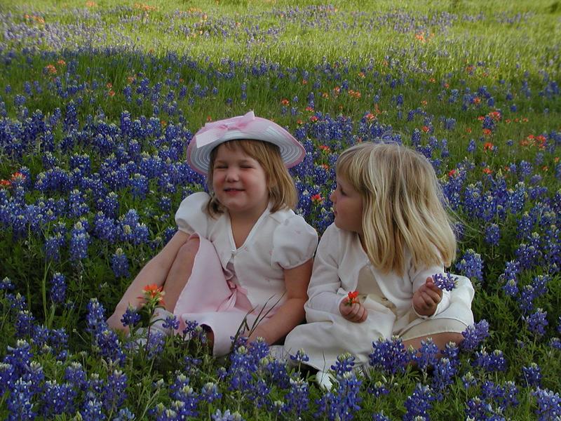 camera/2002/04(April)/04_09_Bluebonnets/800x600_p4090019.jpg