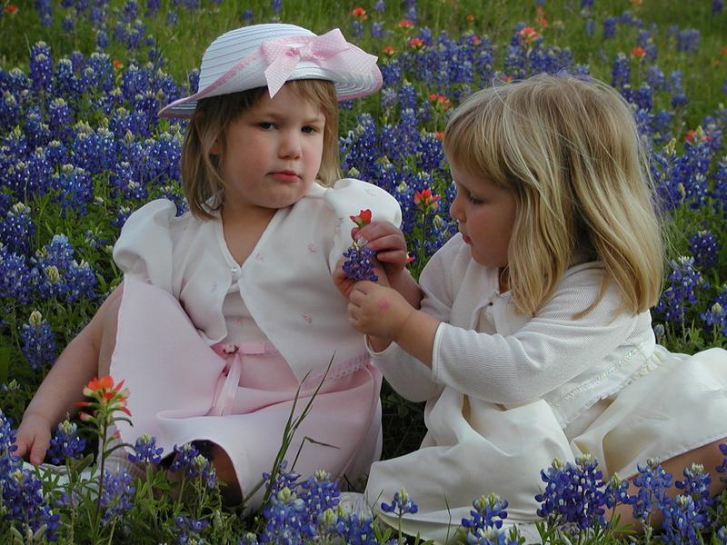 camera/2002/04(April)/04_09_Bluebonnets/800x600_p4090022.jpg