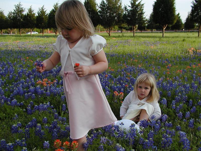 camera/2002/04(April)/04_09_Bluebonnets/800x600_p4090023.jpg
