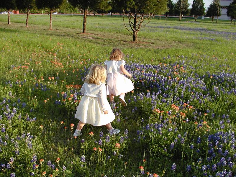 camera/2002/04(April)/04_09_Bluebonnets/800x600_p4090032.jpg