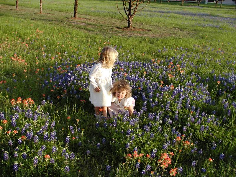 camera/2002/04(April)/04_09_Bluebonnets/800x600_p4090033.jpg
