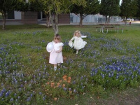 camera/2002/04(April)/04_09_Bluebonnets/p4090001.jpg