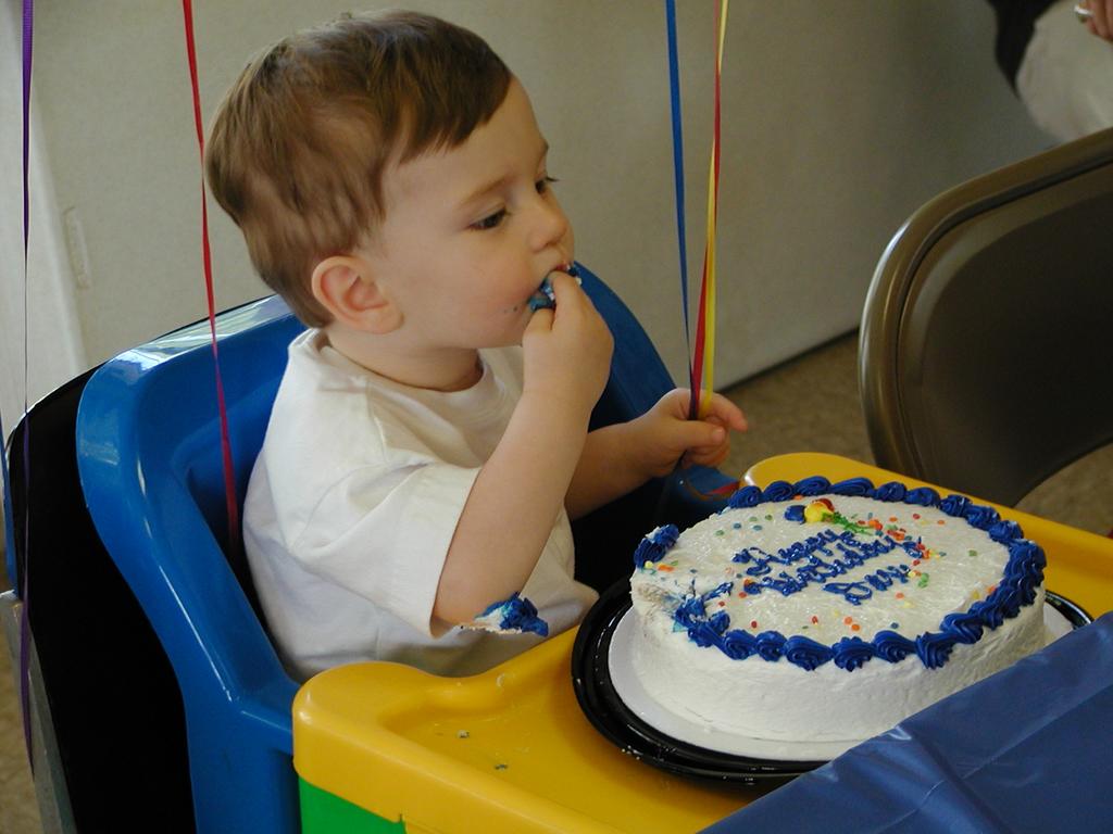 camera/2002/05(May)/05_05_Dax's_1st_Birthday_Party/1024x768_P5050025.JPG