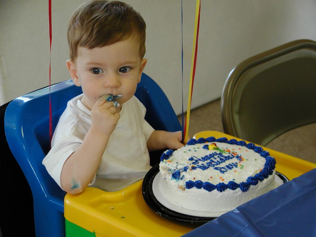 camera/2002/05(May)/05_05_Dax's_1st_Birthday_Party/1024x768_P5050026.JPG