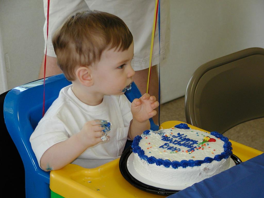 camera/2002/05(May)/05_05_Dax's_1st_Birthday_Party/1024x768_P5050027.JPG