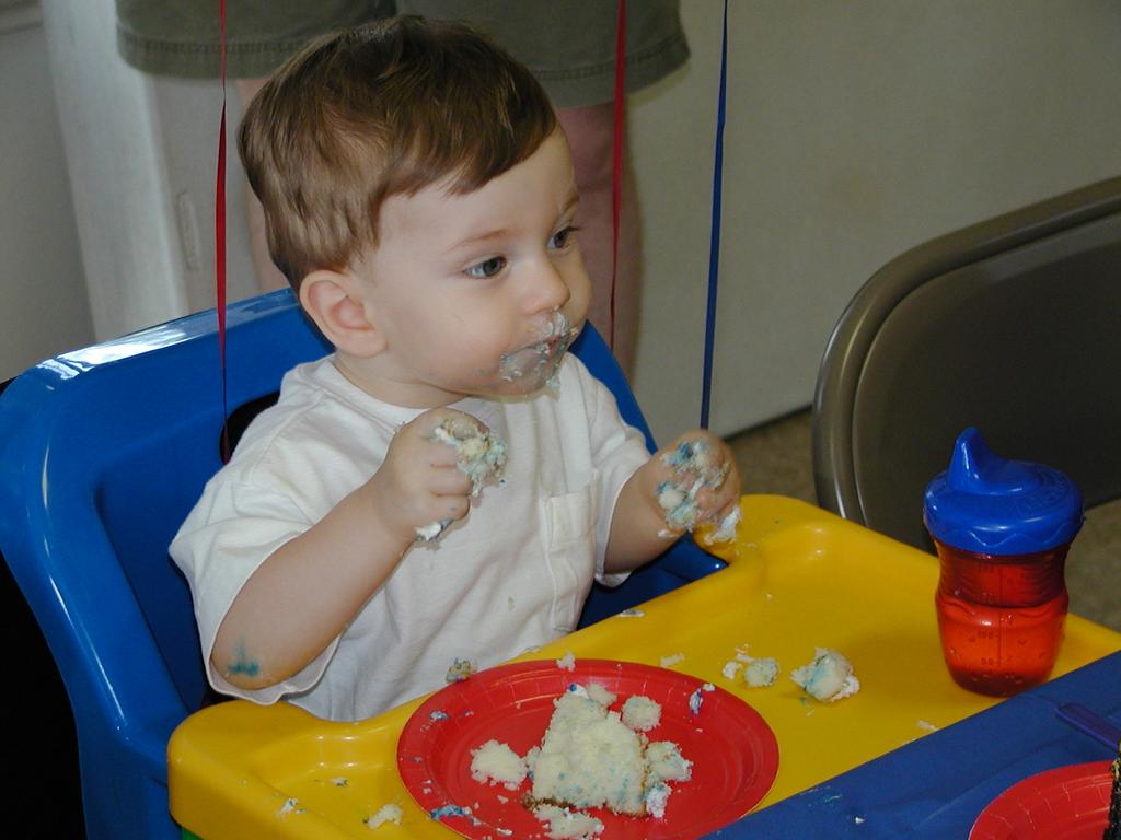 camera/2002/05(May)/05_05_Dax's_1st_Birthday_Party/1024x768_P5050031.JPG