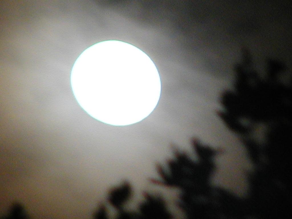 camera/2002/05(May)/05_24_Swimming/1024x768_P5240154.JPG