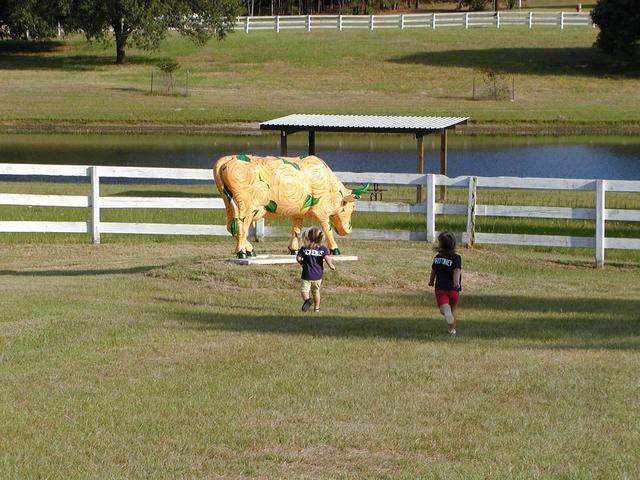 camera/2002/05(May)/05_25_Beyer_Reunion/640x480_P5250048.JPG