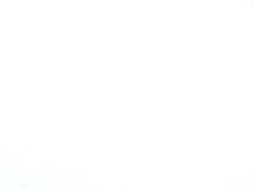 P5310079.JPG