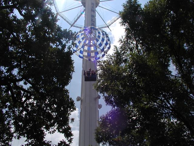 P5310031.JPG
