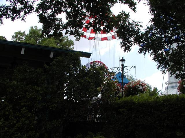 P5310039.JPG