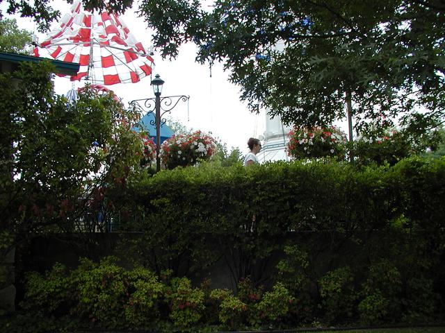 P5310040.JPG