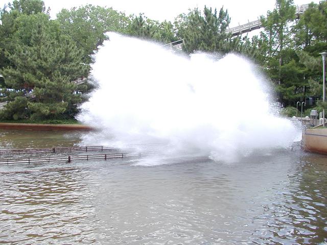P5310047.JPG