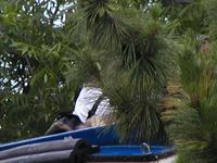P5310044.JPG