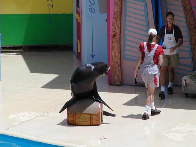 camera/2002/06(June)/06_09_SeaWorld/640x480_P6090013.JPG