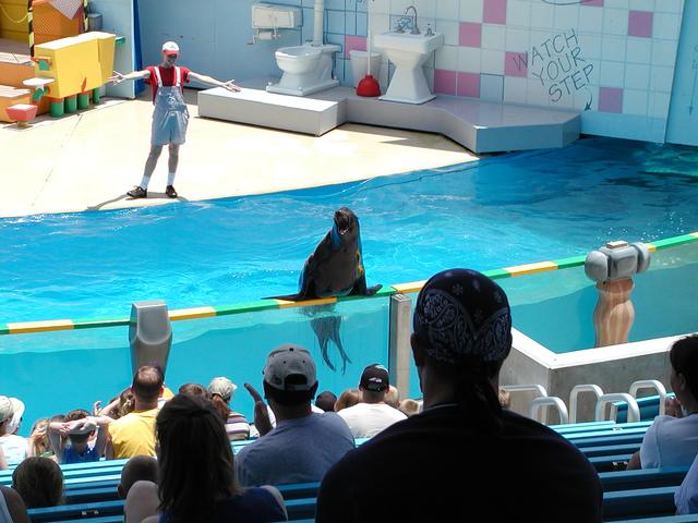 camera/2002/06(June)/06_09_SeaWorld/640x480_P6090021.JPG