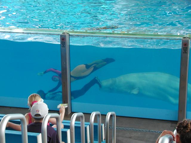 camera/2002/06(June)/06_09_SeaWorld/640x480_P6090027.JPG