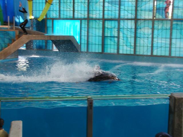 camera/2002/06(June)/06_09_SeaWorld/640x480_P6090033.JPG