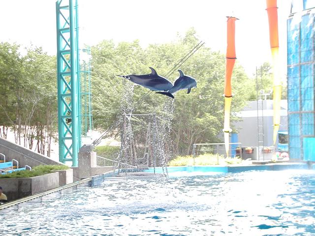 camera/2002/06(June)/06_09_SeaWorld/640x480_P6090040.JPG