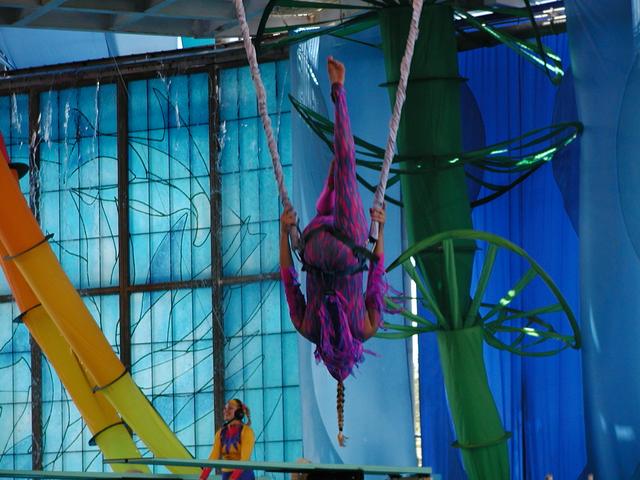 camera/2002/06(June)/06_09_SeaWorld/640x480_P6090048.JPG