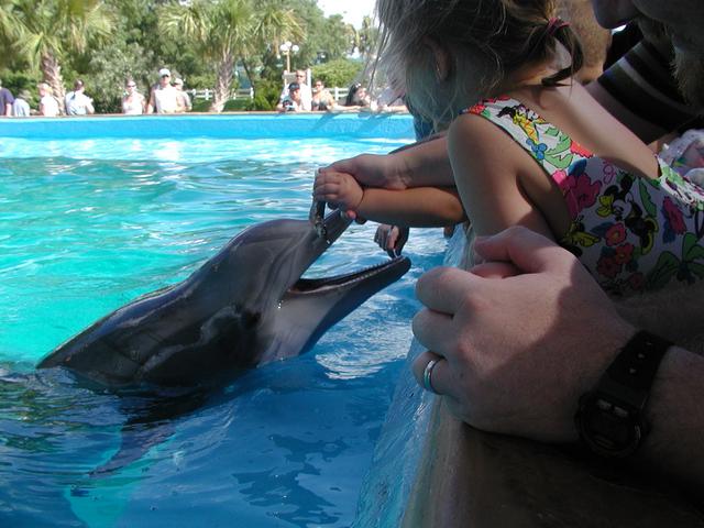 camera/2002/06(June)/06_09_SeaWorld/640x480_P6090066.JPG