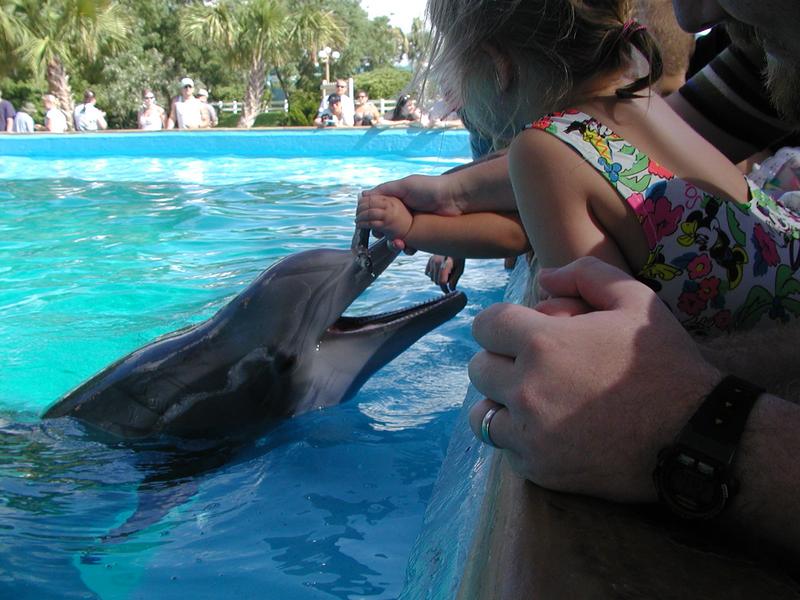 camera/2002/06(June)/06_09_SeaWorld/800x600_P6090066.JPG