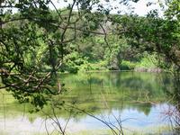 IMG_2158.JPG