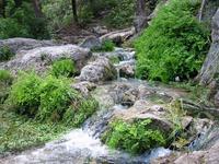 IMG_2168.JPG