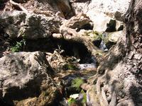 IMG_2170.JPG