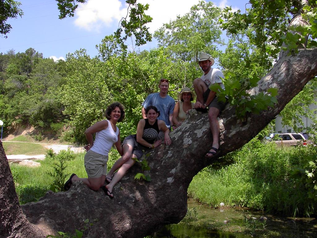 camera/2002/06(June)/sandie/1024x768_IM000044.JPG