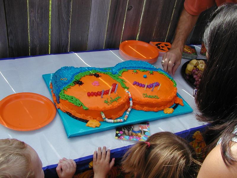 camera/2002/10(October)/10_05_Chance_and_Kalyani's_Birthday_Party/800x600_PA050108.JPG