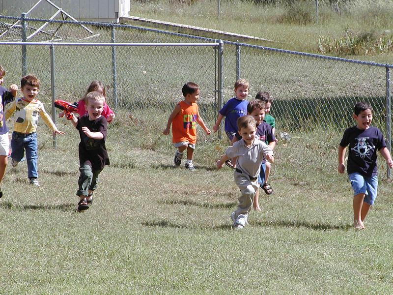 PA060038.JPG