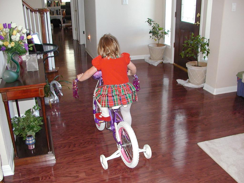 PB170043.JPG