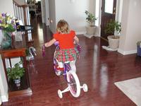 PB170043.JPG