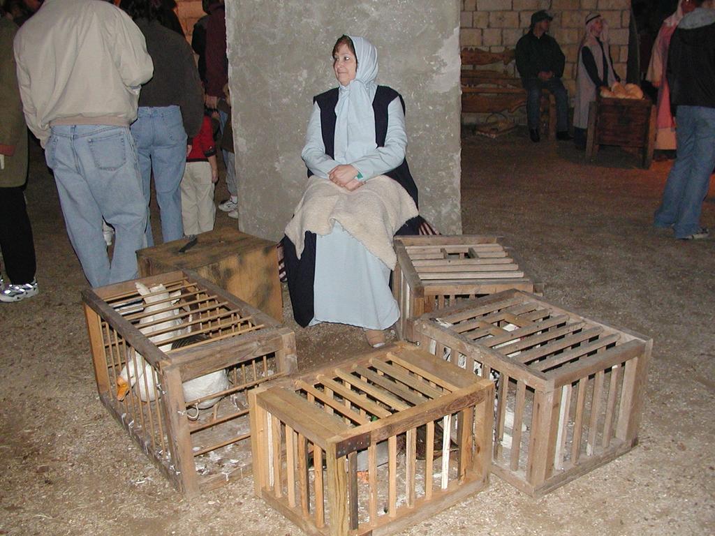 camera/2002/12(December)/12_15_Bethlehem_in_Burnet/1024x768_PC150064.JPG