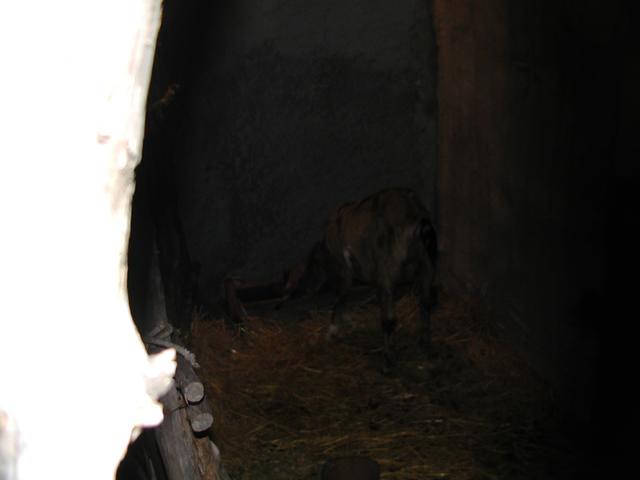 PC150069.JPG