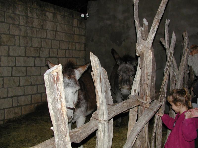 PC150090.JPG