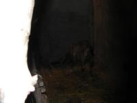PC150069.JPG