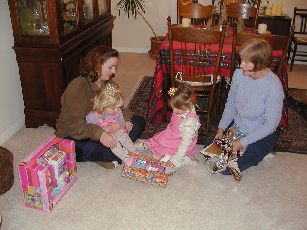 camera/2002/12(December)/12_22_Maddox_Early_Christmas/1024x768_PC220010.JPG