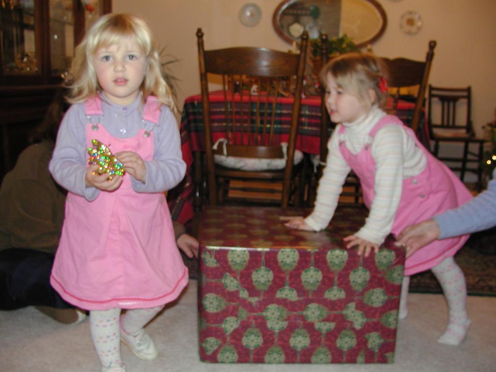 camera/2002/12(December)/12_22_Maddox_Early_Christmas/1024x768_PC220013.JPG