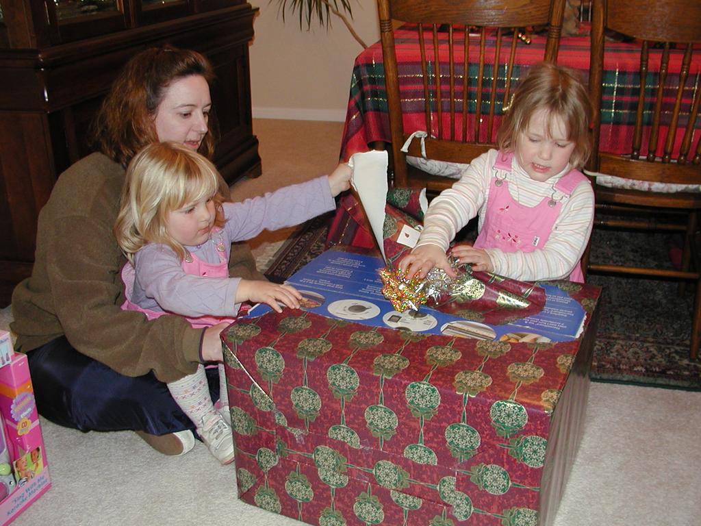 camera/2002/12(December)/12_22_Maddox_Early_Christmas/1024x768_PC220016.JPG